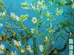 -鸥迪足道(前门店)