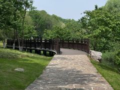 -羊山湖公园