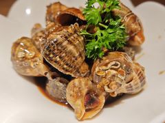 -波螺油子·海肠捞饭·青岛菜(银座店)