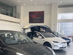 -TESLA 特斯拉(北京南四环中路特斯拉中心)