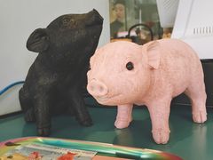 -WHEN PIGS FLY当猪飞