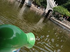 -团结湖公园