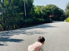 -火炉山森林公园