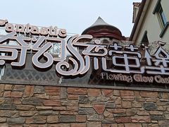 -大塘金香草谷
