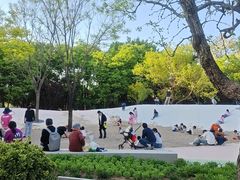 -大望京公园