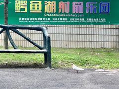 -三水森林公园