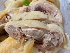 -九斤黄三黄鸡专卖店