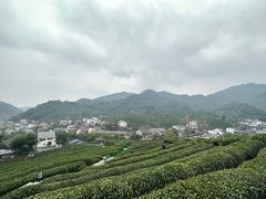 -龙井村