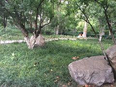 -西安市长乐公园