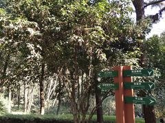 -杭州半山国家森林公园