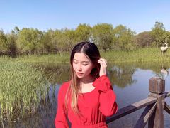 -溱湖国家湿地公园