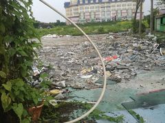 -百万葵园