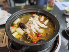 -蘑统田下·野生菌火锅