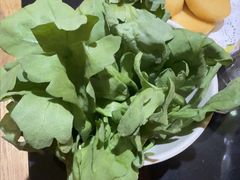 -芦月轩羊蝎子(劲松店)