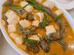 -华盛丰温州大排档(东三环南路店)