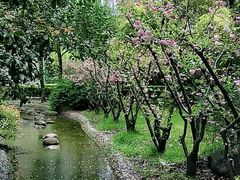 -花草间花行(法华镇路店)