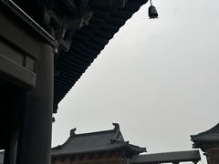 -白洋淀景区