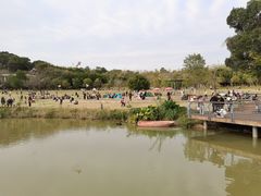 -牛岗山公园