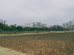 -花都广场