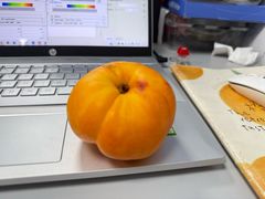 -四川大学(华西校区)