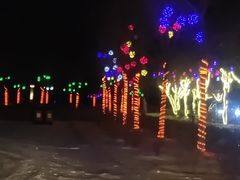 -卧龙湖