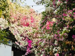 -深圳国际园林花卉博览园