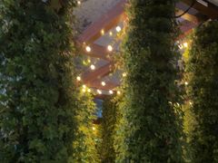 -顶层酒吧ROOF(上海艾迪逊酒店)