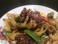 -尕胡才炕锅烤羊肉馆(八一路店)