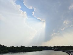 -东寨港红树林旅游区