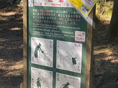 -奈良公园