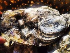 -蚝堡海鲜·威海菜·海肠捞饭·烧烤·亚洲吃蚝公司(幸福门店)