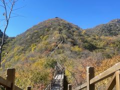 -大岭沟猕猴桃谷风景区
