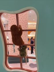 -奈尔宝家庭中心·亲子餐厅(苏州大悦城店)