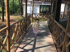 -竹上云想餐厅民宿