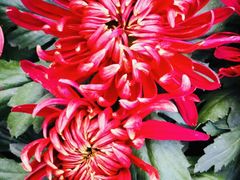 -莲湖公园