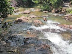 -广州白江湖森林公园