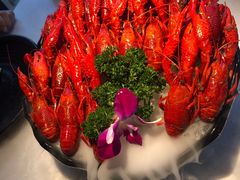 -红盔甲·小龙虾(天钥桥店)