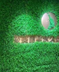 -变美丽半永久纹眉连锁·机器野生眉•洗眉