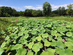 -永定河休闲森林公园