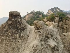 -大岭沟猕猴桃谷风景区