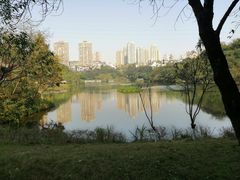 -重庆彩云湖湿地公园