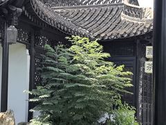 -扬州大运河文化旅游度假区·盆景园