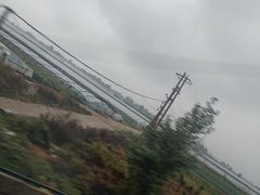 -潍坊站