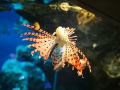 -鹿儿岛水族馆