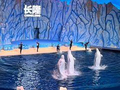 -珠海长隆海洋王国