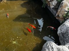 -屯溪老街
