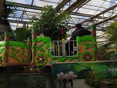 -南宫五洲植物乐园