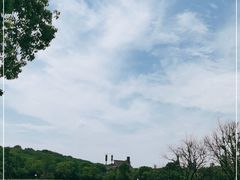 -上海吴淞炮台湾国家湿地公园