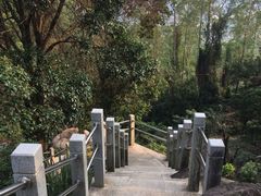 -火炉山森林公园