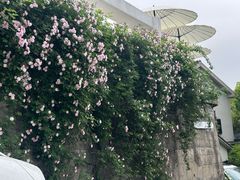 -杭州西湖风景名胜区-满觉陇四眼井
